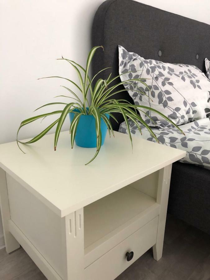 Sunrise Apartment ブカレスト エクステリア 写真